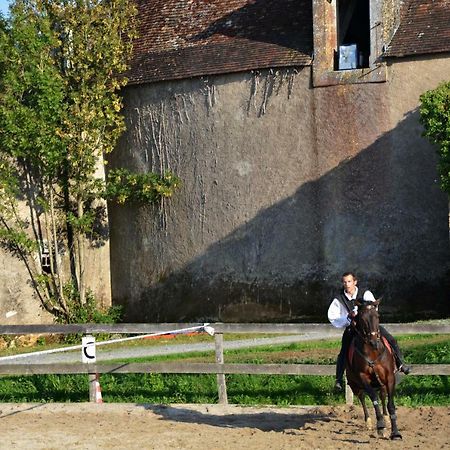 Chateau Des Noces Bazoges-en-Pareds Kültér fotó